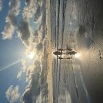 Janneke Van Moerkerk