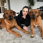 Sandra and her ridgebacks 