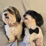Dorus & Pablo