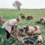 Mirjam Wouda