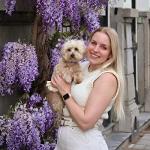 Melle the Maltipoo