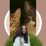 Sjefke & Bruzer & Damayanthi 